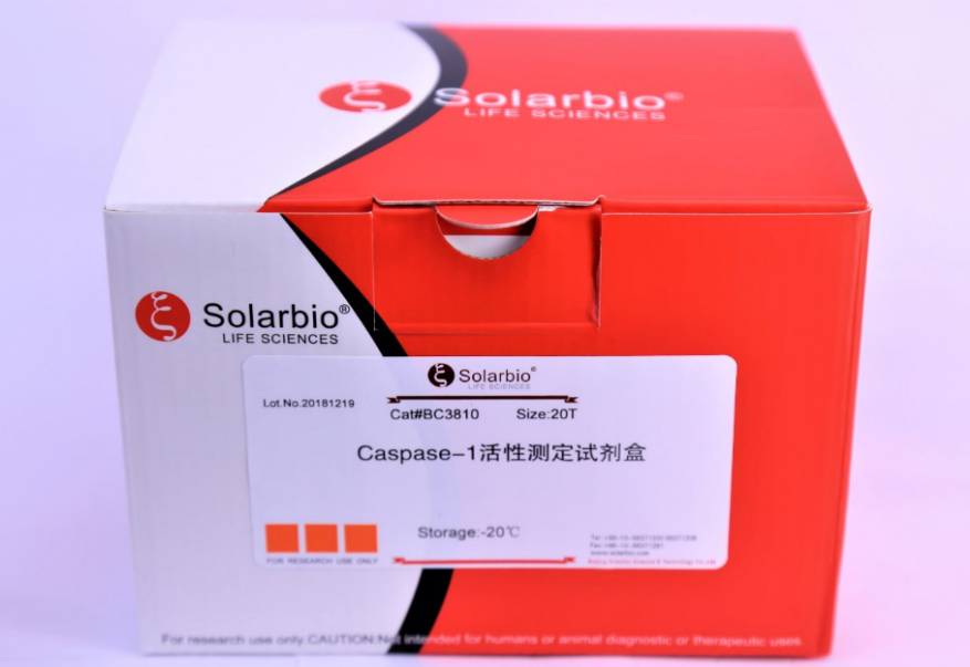 Caspase-1活性测定试剂盒