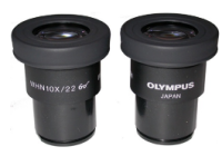 日本奥林巴斯Olympus显微镜目镜