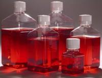 Sarcoma 180(小鼠恶性肉瘤细胞)