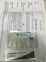 Cyp2d26 (Mouse) - 3 unique 27mer siRNA duplexes