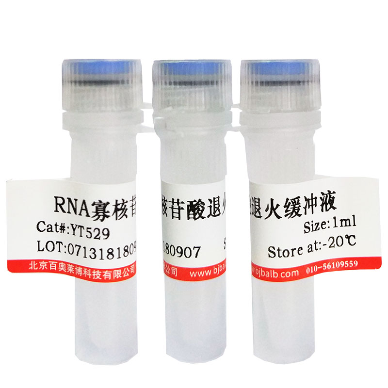 L-3-(2-萘基)-丙氨酸(97%)北京现货