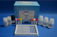 猴胃泌素34(GT-34)酶联免疫吸附测定试剂盒说明书