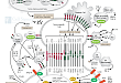 Immune Checkpoint Signaling in the TME