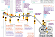 Epigenetic Writers and Erasers of Histones H3