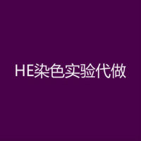 苏木素伊红(HE)染色液