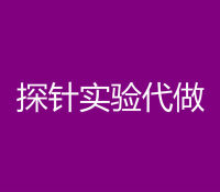 EMSA探针实验代做
