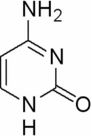 胞嘧啶100g