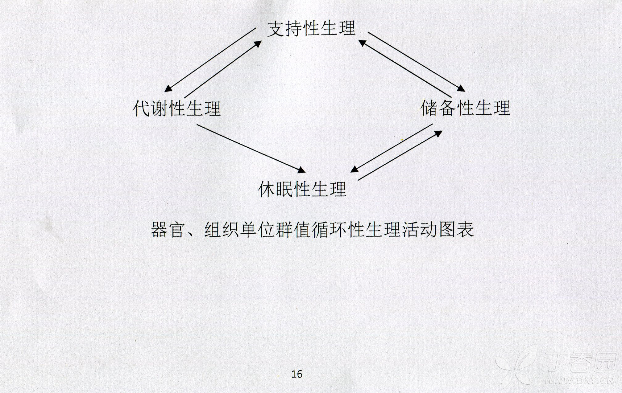 哮喘的原理_既然知道了哮喘的发病机制,我们就一步一步来看看都可以怎么治疗   首先,哮喘是