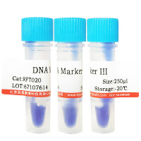 Methicillin sodium salt(132-92-3)