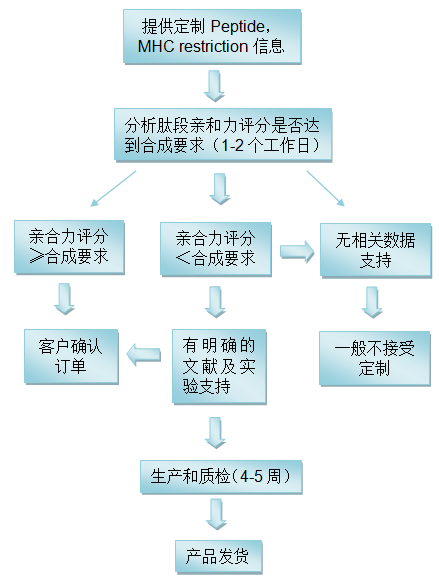 MHC 四聚体技术（MHC Tetramer）