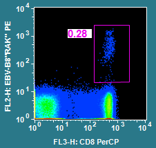 MHC 四聚体技术（MHC Tetramer）