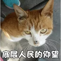 新闻图片8