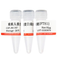 人CD56重组蛋白北京现货