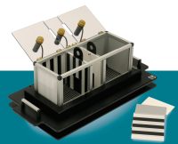 条件性位置偏爱系统  条件性位置偏爱