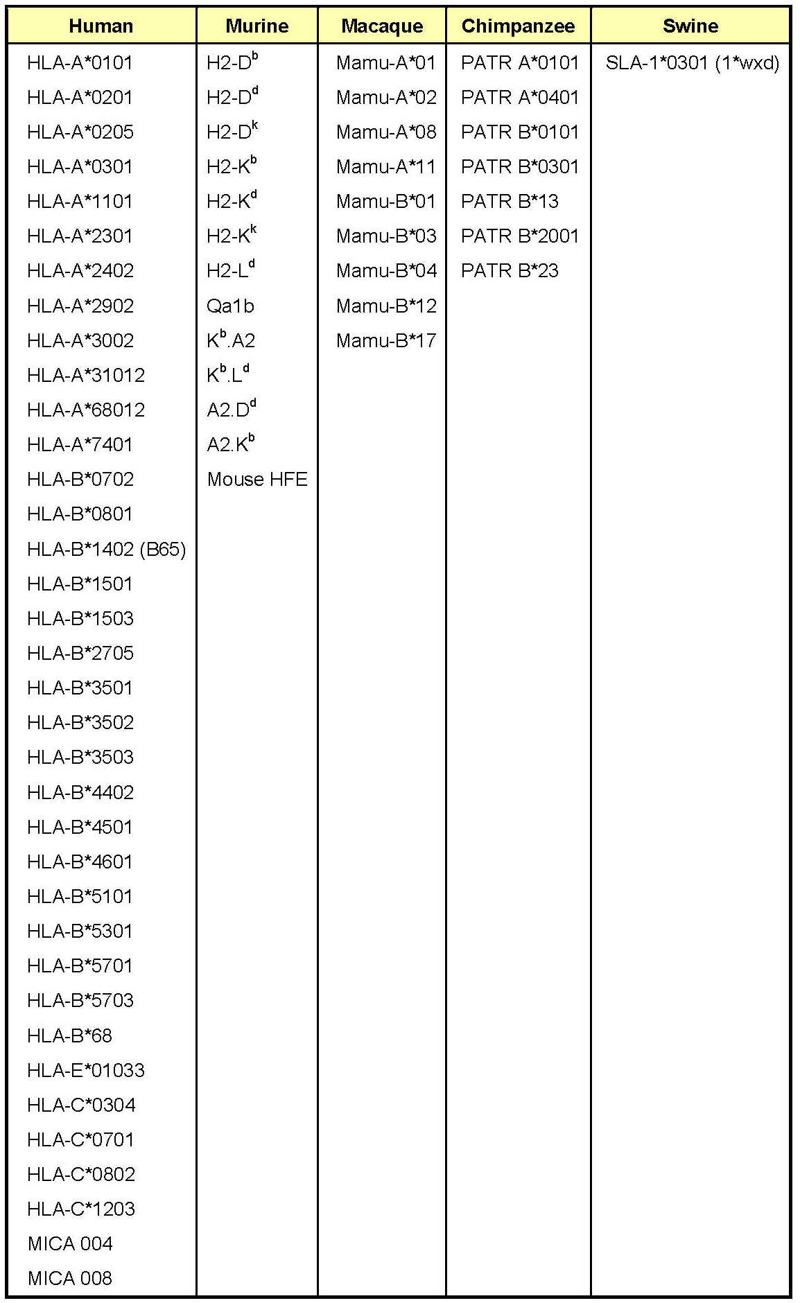 MHC 四聚体技术（MHC Tetramer）