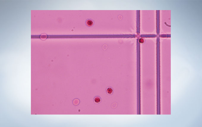 产品细节图片18