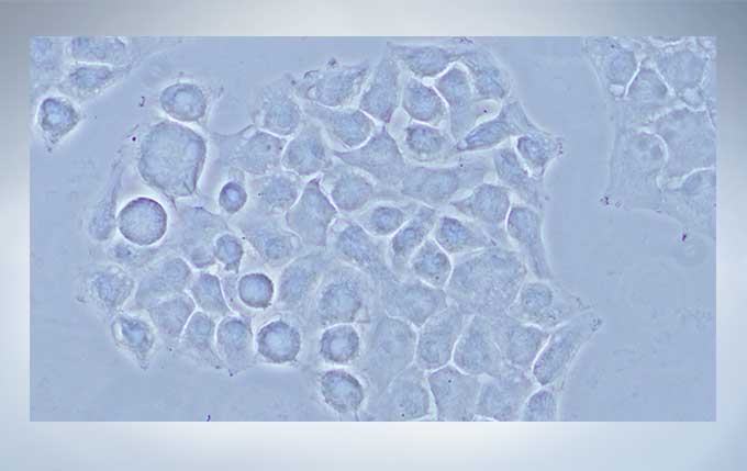 产品细节图片20