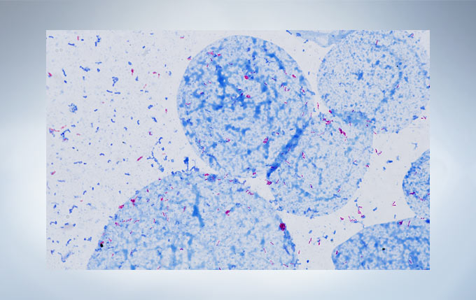 产品细节图片17