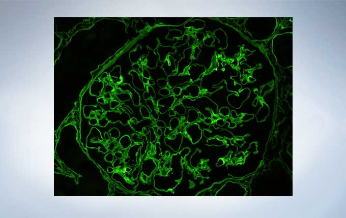 产品细节图片21