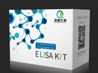 小鼠重肽铁蛋白(FTH) ELISA 试剂盒