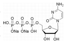 5-胞苷三磷酸二钠盐