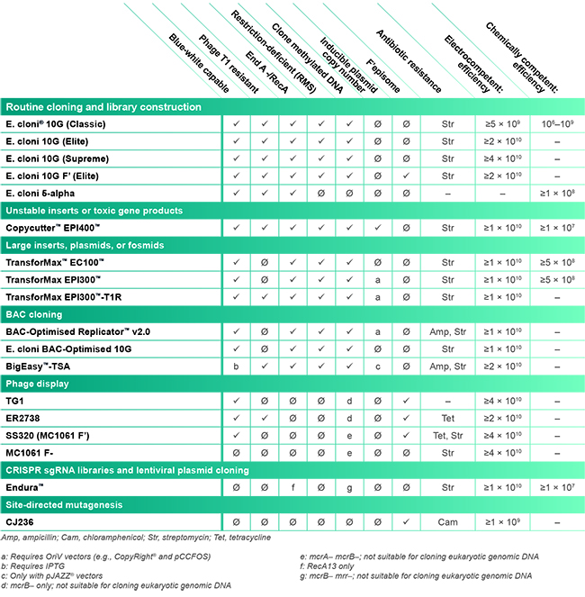 Lucigen™感受态细胞