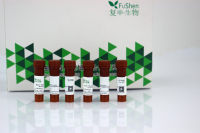 Phalloidin 鬼笔环肽