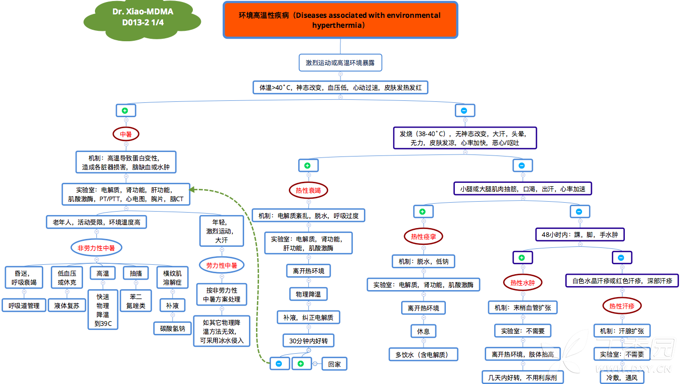 发热性皮疹(痱子)图谱