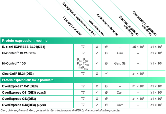 Lucigen™感受态细胞