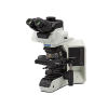 奥林巴斯 BX53-P 偏光显微镜