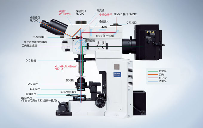 奥林巴斯 BX61WI/BX51WI 载物台固定式显微镜