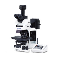 奥林巴斯 BX53 半电动荧光显微镜