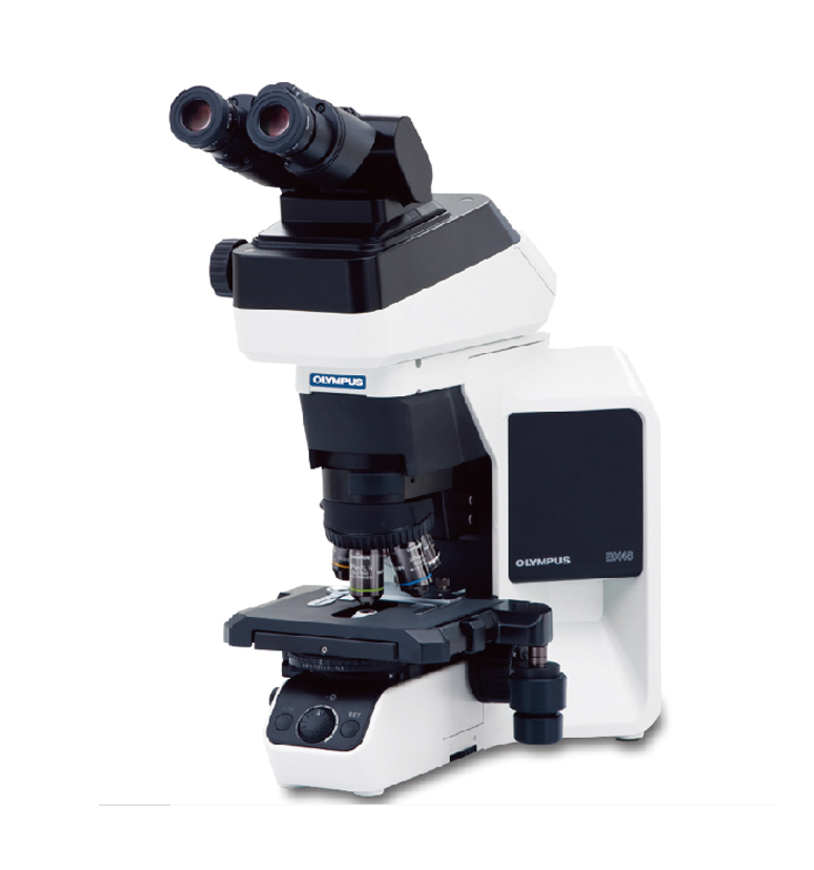 奧林巴斯 BX46 臨床顯微鏡
