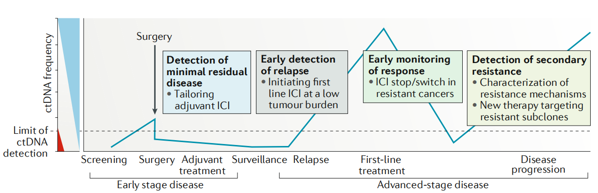 在治疗过程中，ctDNA甲基化水平与癌细胞数量呈正比，可用于协助评估用药疗效、复发及治疗后期转移动态的监测