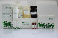 结晶紫-柠檬酸染色液(0.1%)