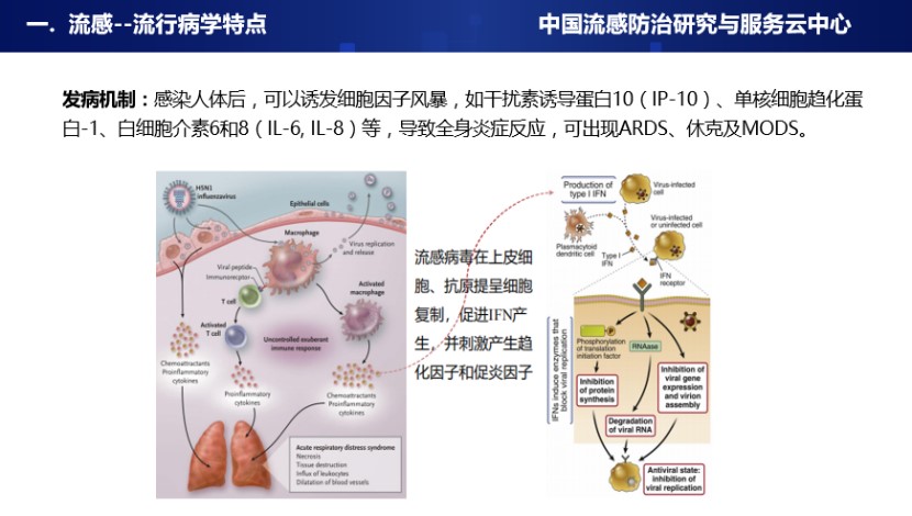 精彩看点 | 刘学东教授：面对流感，我们该怎么做