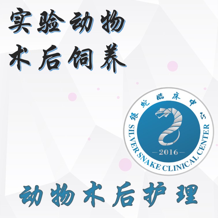 术后饲养