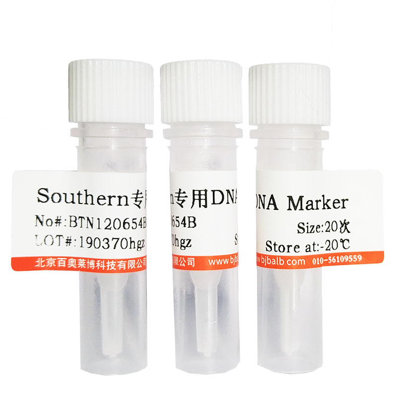 胆固醇酯酶(9026-00-0)(150u/mg)