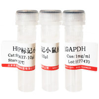 HRP标记山羊抗猪IgG(H+L)抗体(酶标二抗)