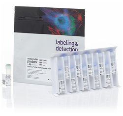 细胞增殖试剂盒