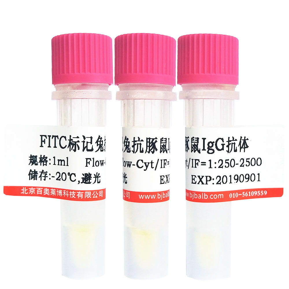FITC标记鸡卵白蛋白(OVA-FITC)