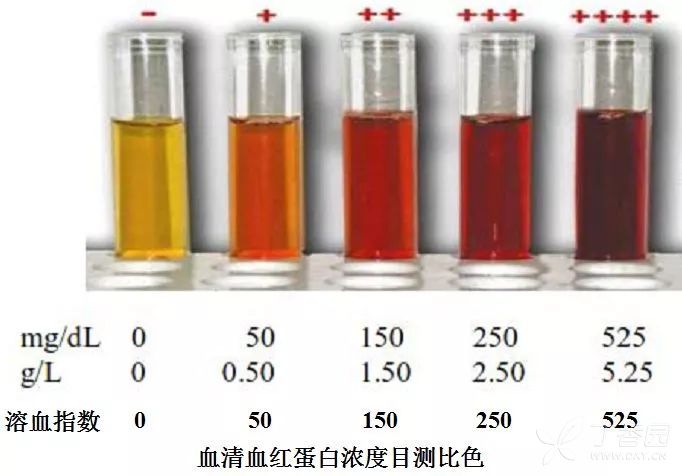 求一张血液标本溶血 ,脂血程度分级的对照图片