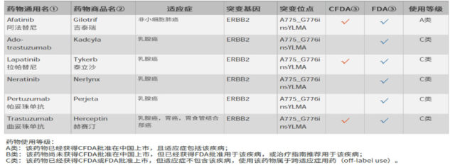 image11.jpeg