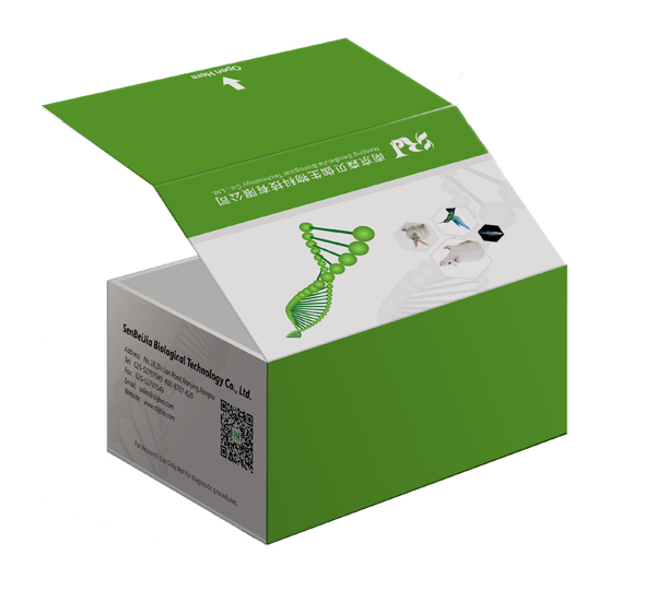 鸡白介素6(IL-6)ELISA检测试剂盒