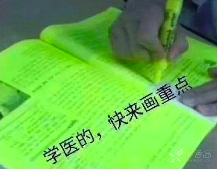 钓鱼帖:请用一个表情包来形容你是学医的