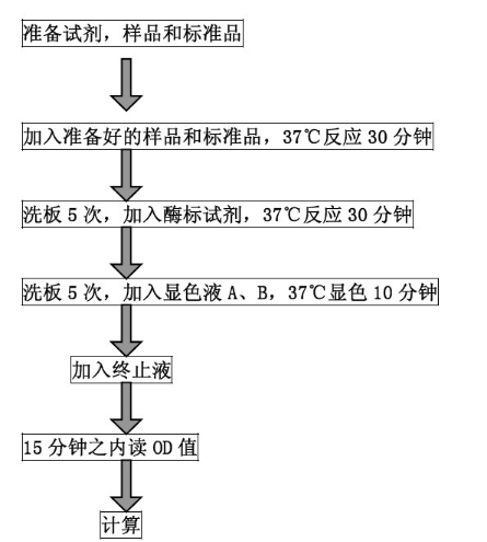 人过氧化物酶体增殖物激活受体δ(PPAR-δ)ELISA试剂