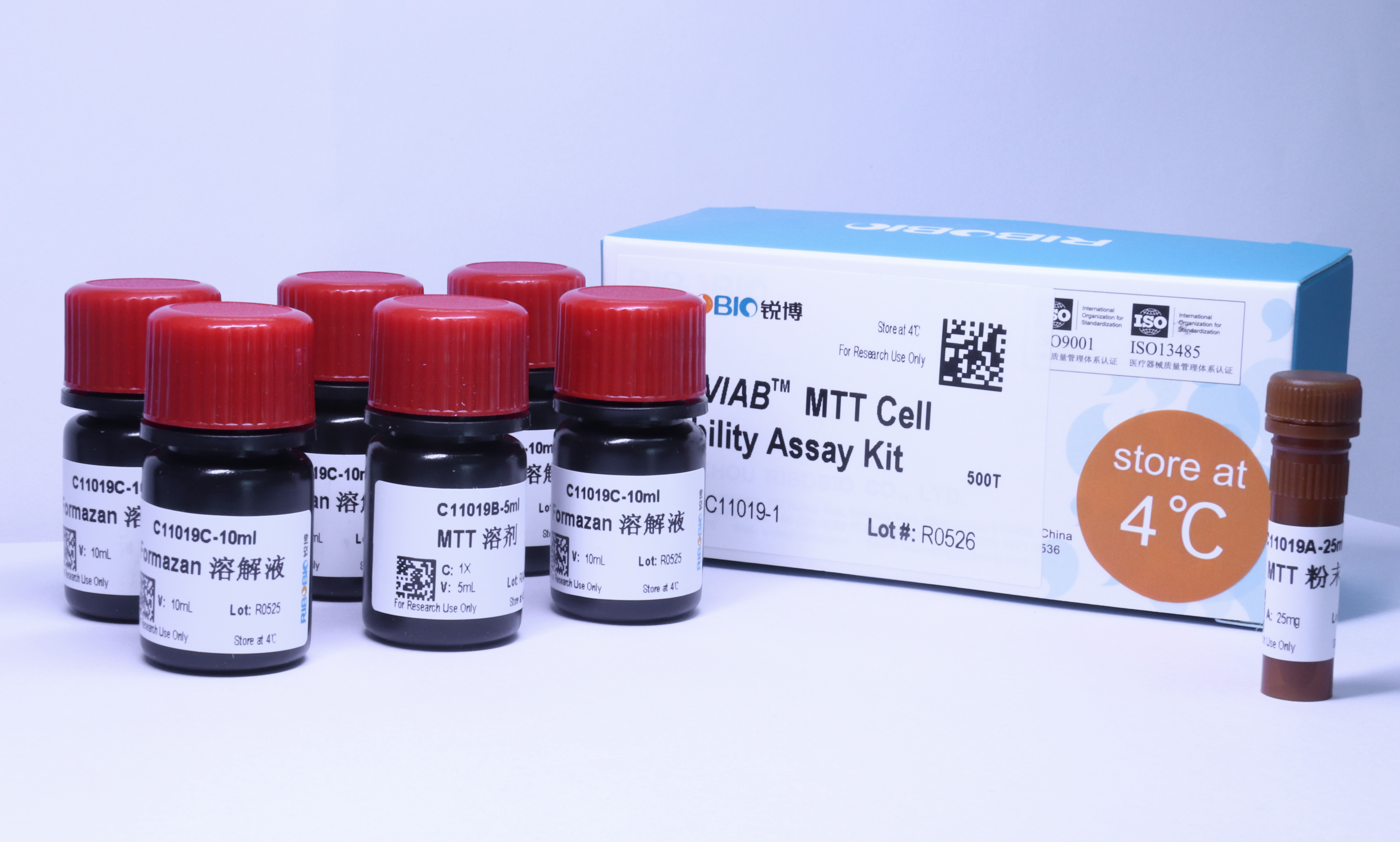 MTT细胞活性检测