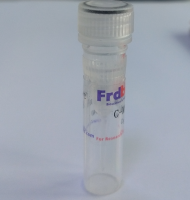 Human IgG1-Fc Protein (103 Cys/Ser)