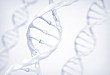 血清 DNA 中针对非小细胞肺癌检测的一组 DNA 甲基化标志物