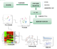 LC-MS/GC-MS/ NMR代谢组